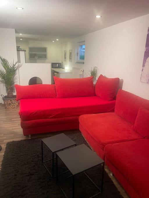 Gemuetliches Einliegerapartment, 50 Qm Trippstadt Exteriér fotografie